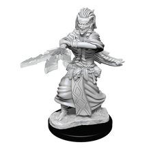 Dungeons & Dragons : Unpainted Miniatures - Wave 14 - Night Hag & Dusk Hag | Boutique FDB