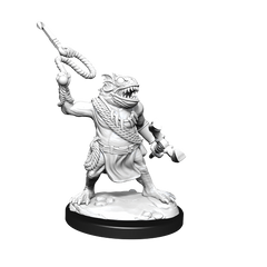 Dungeons & Dragons : Unpainted Miniatures - Wave 14 - Kuo-Toa & Kuo-Toa Whip | Boutique FDB