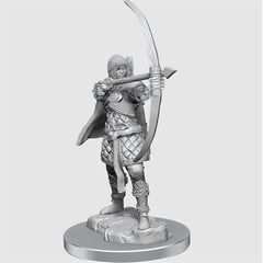 Wizkids : Unpainted Miniatures - Wave 20 - Human Rogue | Boutique FDB